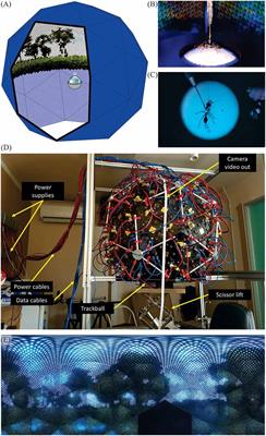 The Antarium: A Reconstructed Visual Reality Device for Ant Navigation Research